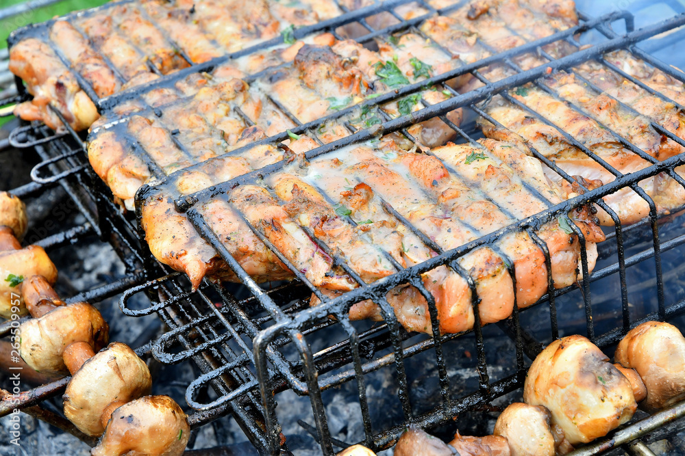 On a picnic barbecue grill on the grill with chicken meat.