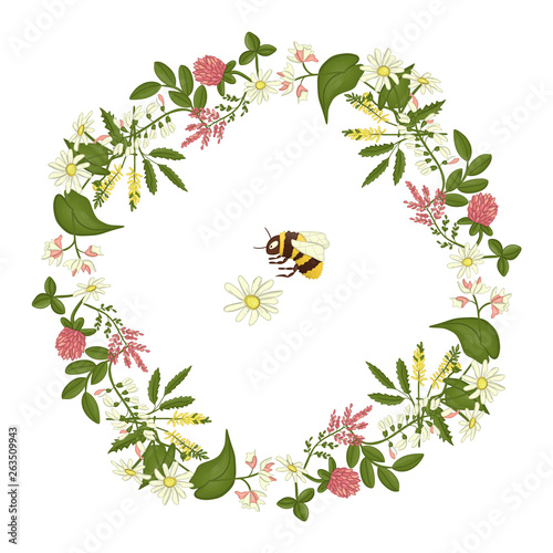 Vector wreath of acacia, heather, camomile, buckwheat, clover, melilot, bumblebee. Hand drawn cartoon style illustration. Cute frame with wild flowers for natural or card design