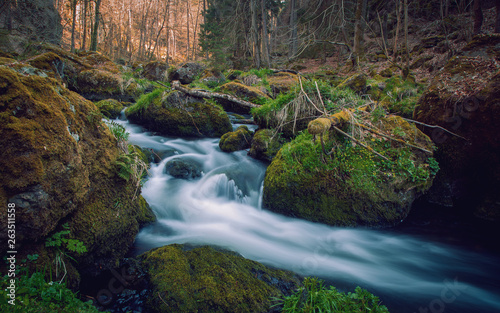 The small brook flowing between mossy stones. Germany Saxony.
