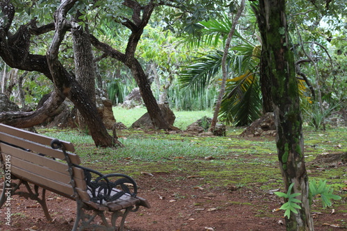 bench in the park