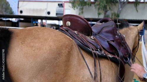 Man adjusting the saddle on his horse to go riding.