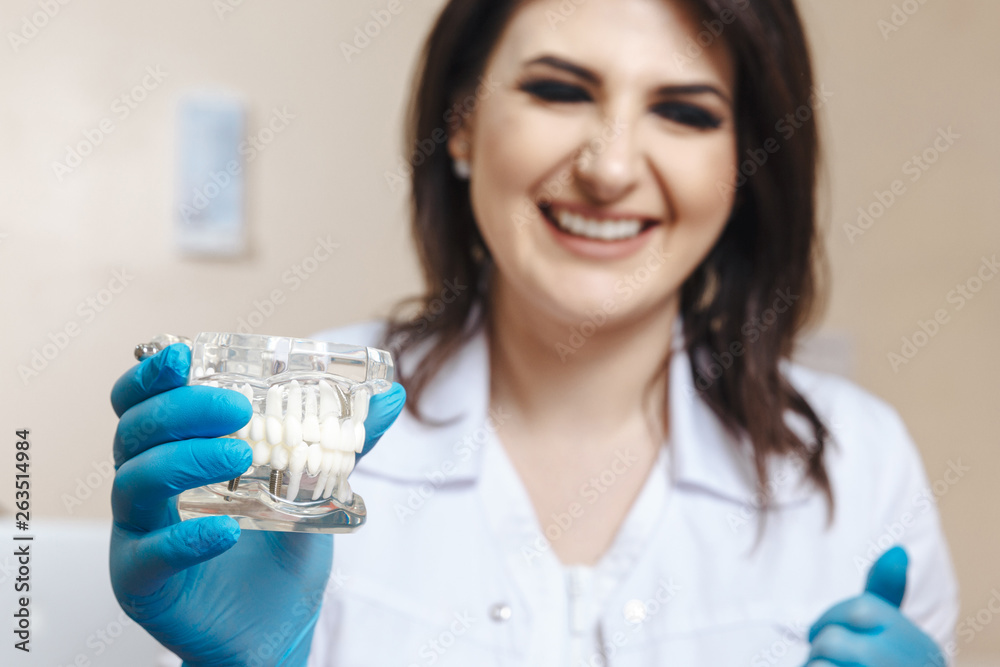 Dentist showing denture. Closeup view of jaw model Dentist showing denture. Closeup view of jaw model