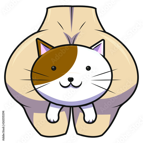 Foto Gato trasero
