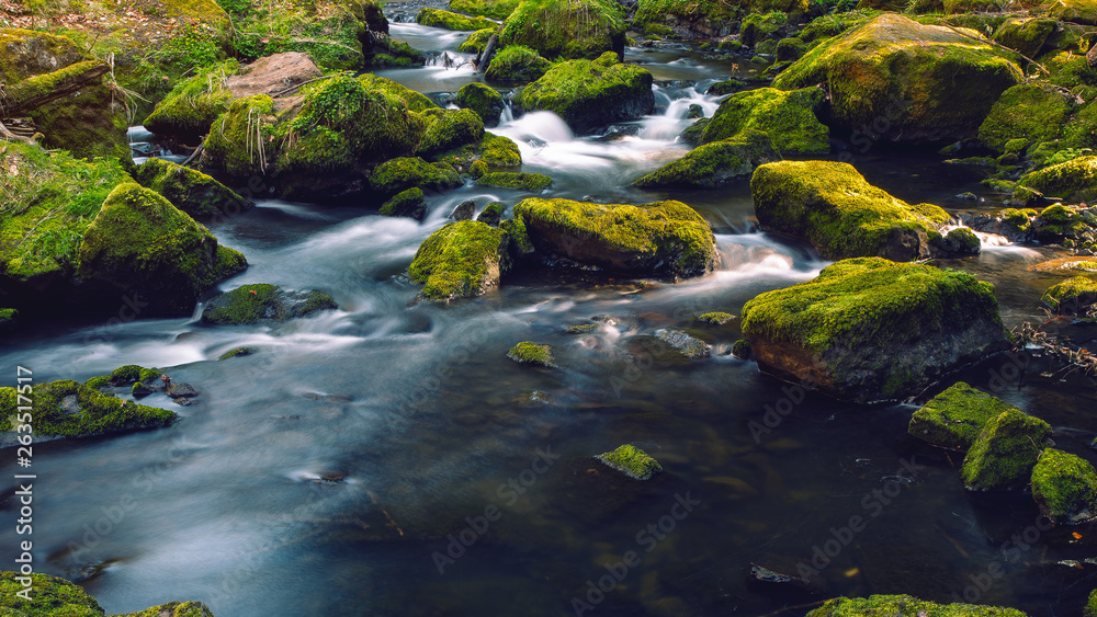 The small brook flowing between mossy stones. Germany Saxony. The small brook flowing between mossy stones. Germany Saxony.