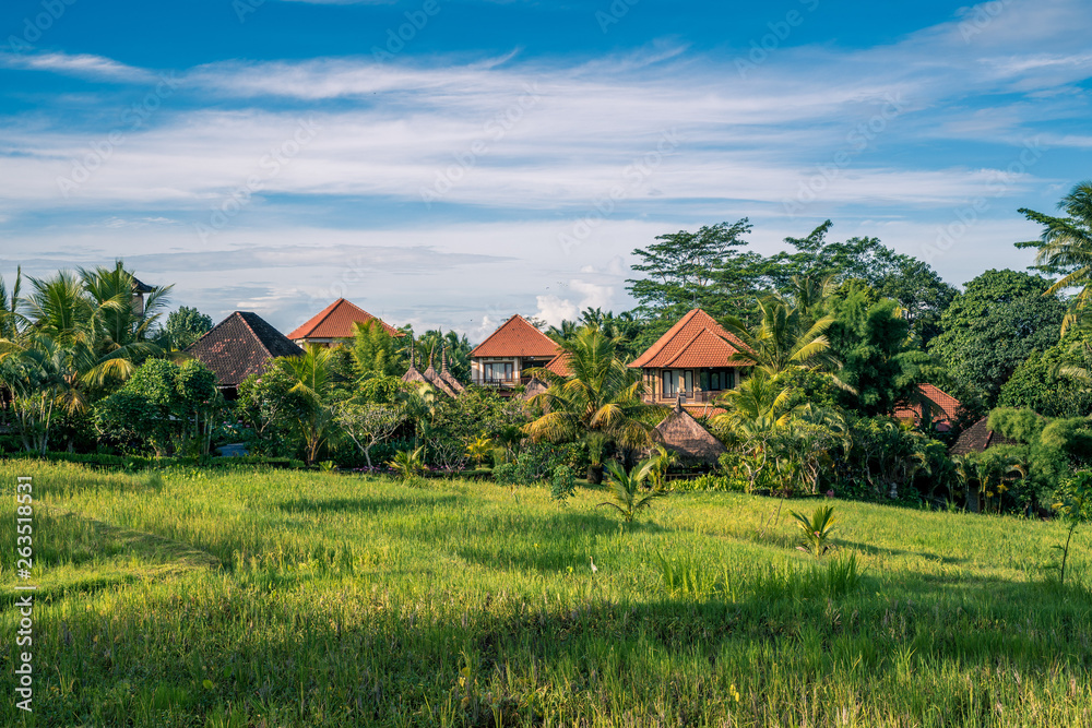 Farm house landscape in Ubud, Bali