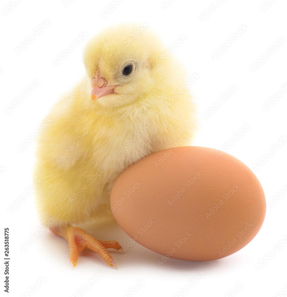 Chicken and egg. Chicken and egg.