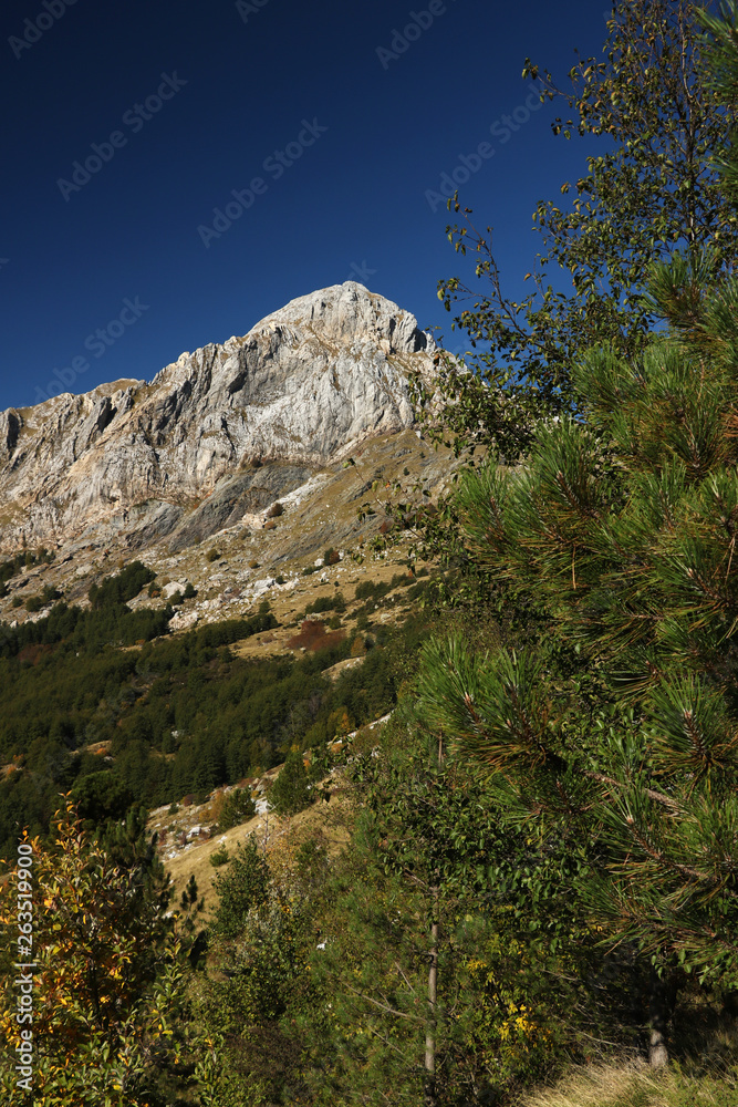 Alpi Apuane, Massa Carrara, Tuscany, Italy. The top of the Pizzo d'Uccello. Mountain colors, blue sky, autumnal colors, yellow, red and green.