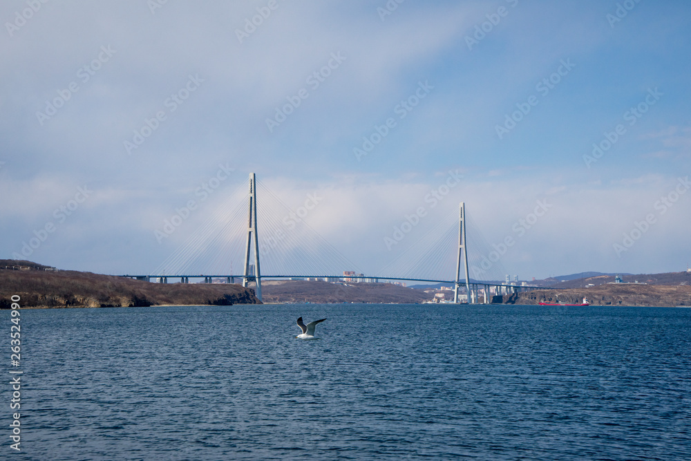 Cable-stayed bridge 