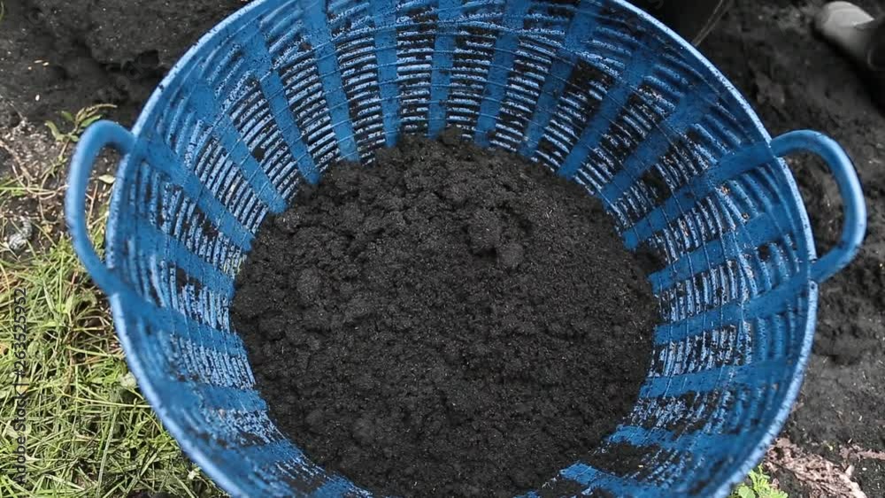 Stable Manure
Farmyard Manure
Cow manure
Farmer making a Cow manure