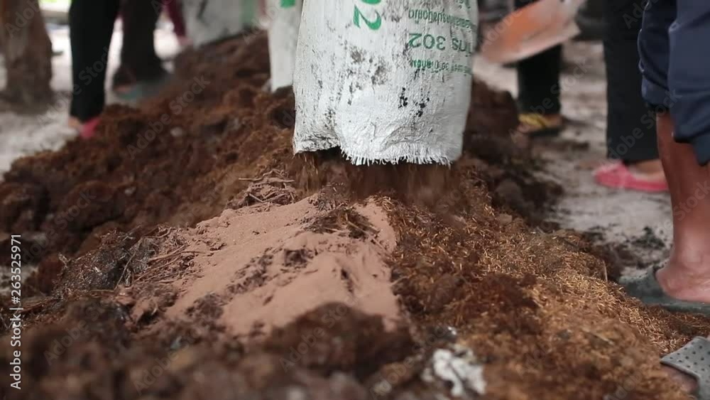 Stable Manure
Farmyard Manure
Cow manure
Farmer making a Cow manure Stable Manure
Farmyard Manure
Cow manure
Farmer making a Cow manure