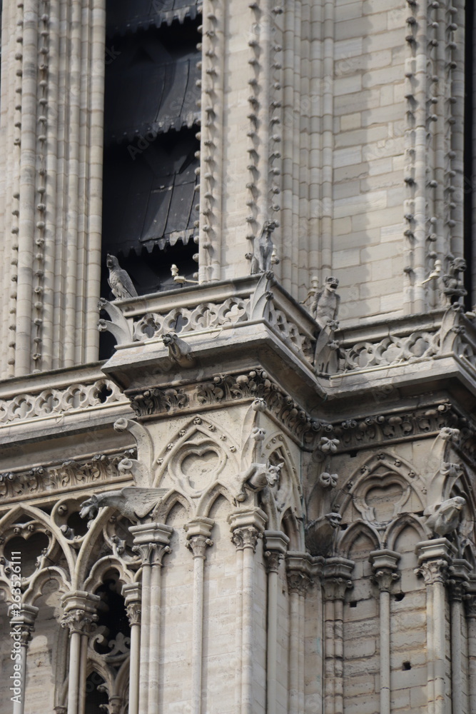 Gargouilles de Notre-Dame de Paris	