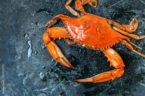 isolated steamed whole blue crab on wet marble background flat lay