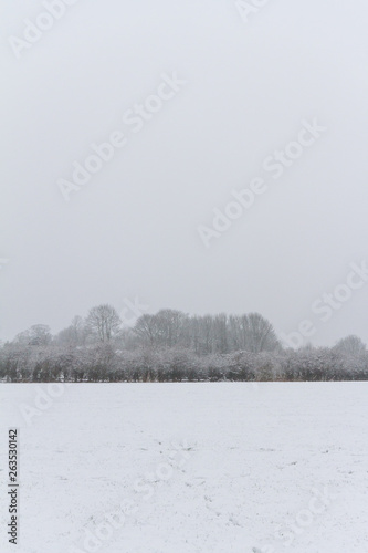 Snowy field