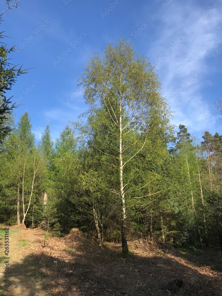 Natur in Baden-Württemberg Deutschland Natur in Baden-Württemberg Deutschland