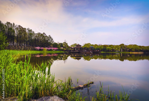 Fototapeta Naklejka Na Ścianę i Meble -  Traditional Chinese Garden Park.