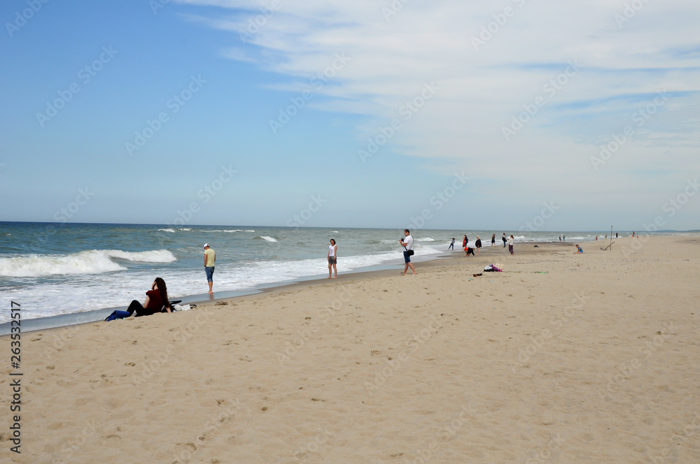 Sea shore. Beach. Baltic Sea