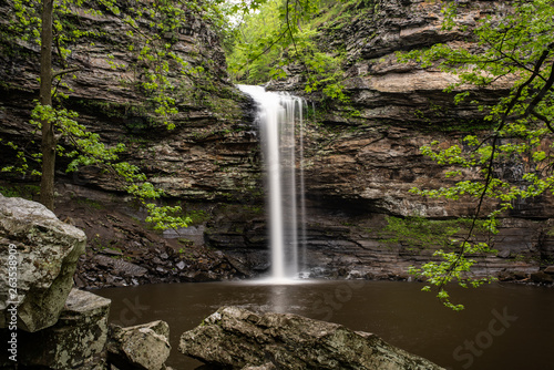 Fototapeta Naklejka Na Ścianę i Meble -  Cedar Falls Petit Jean State Park Arkansas. The long waterfall fills the dark pool of water and dark rocks contrasted by green maple, pine and star shaped leaves of a sorghum tree frame it. 