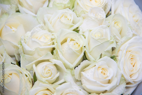 A bouquet of white roses. Lush roses. White flowers .