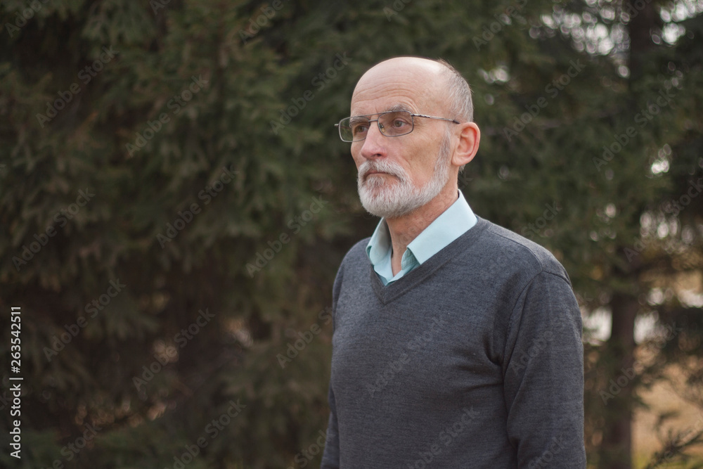 Elderly man with a beard Elderly man with a beard