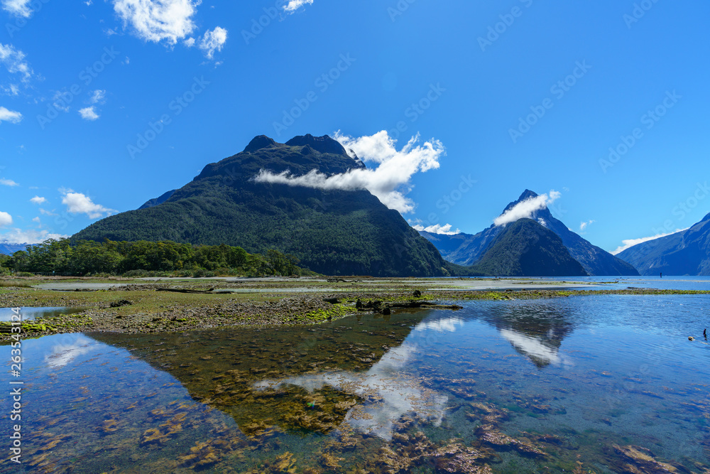 reflections of mountains in the water, milford sound, new zealand 29