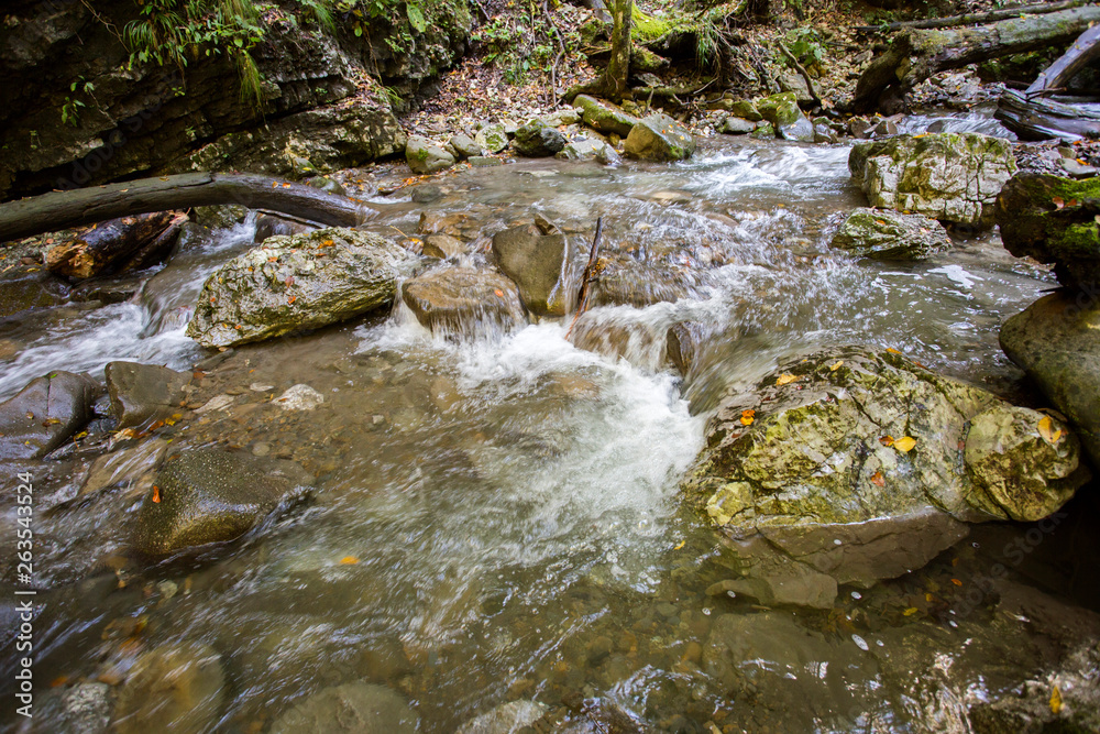 Curak creek near Skrad, Croatia Curak creek near Skrad, Croatia