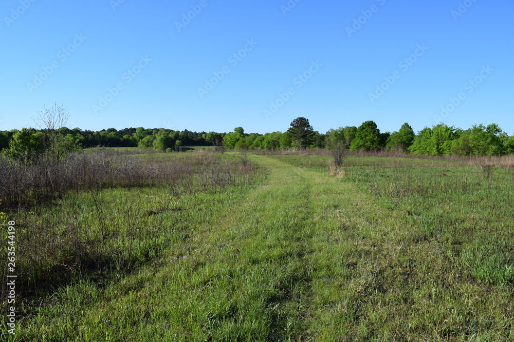 Natchez Trace Trail through grassland in Mississippi