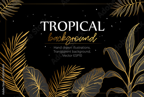 Background with tropical plants. Template of greeting card or invitation. Vector illustration