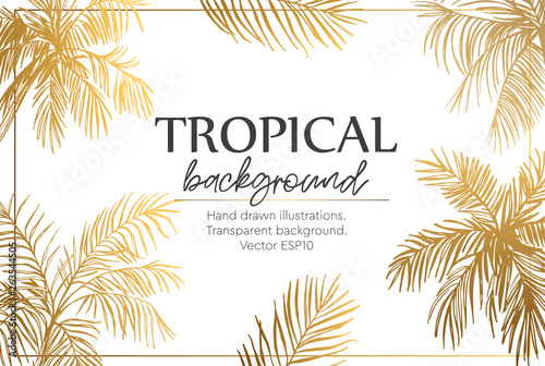 Background with palm trees. Template of greeting card or invitation. Vector illustration