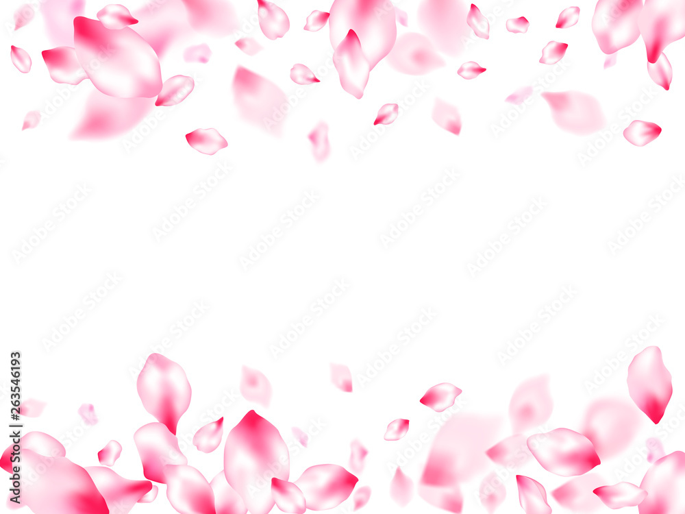 Japanese cherry blossom pink flying petals Japanese cherry blossom pink flying petals