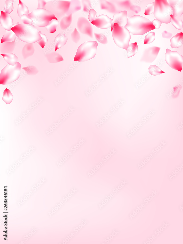 Pink cherry blossom petals isolated Pink cherry blossom petals isolated