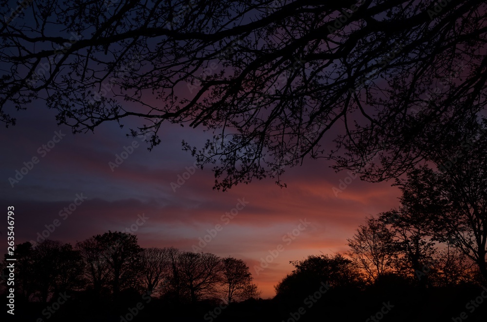 Rural sunset, Jersey, U.K. Spring landscape.