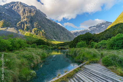 wooden bridge over river in the mountains, fiordland, new zealand 4