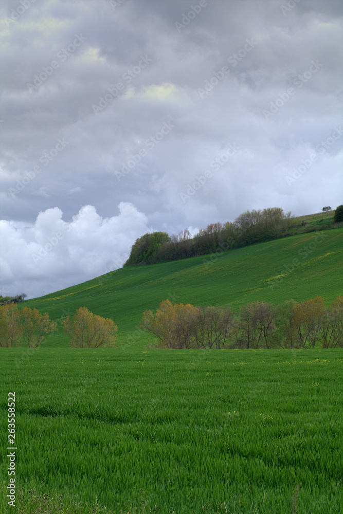 landscape with green field, sky, grass, field, nature, green, meadow,clouds, hill, tree,rural, countryside,agriculture, country, spring, farm,panorama landscape with green field, sky, grass, field, nature, green, meadow,clouds, hill, tree,rural, countryside,agriculture, country, spring, farm,panorama