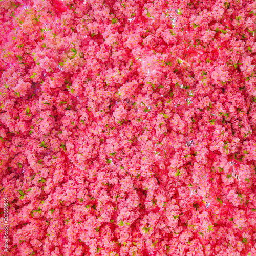 Square background of pink Sakura flowers.