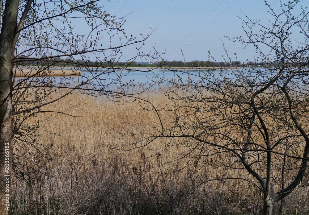 Boddenlandschaft auf Rügen in Zudar Boddenlandschaft auf Rügen in Zudar
