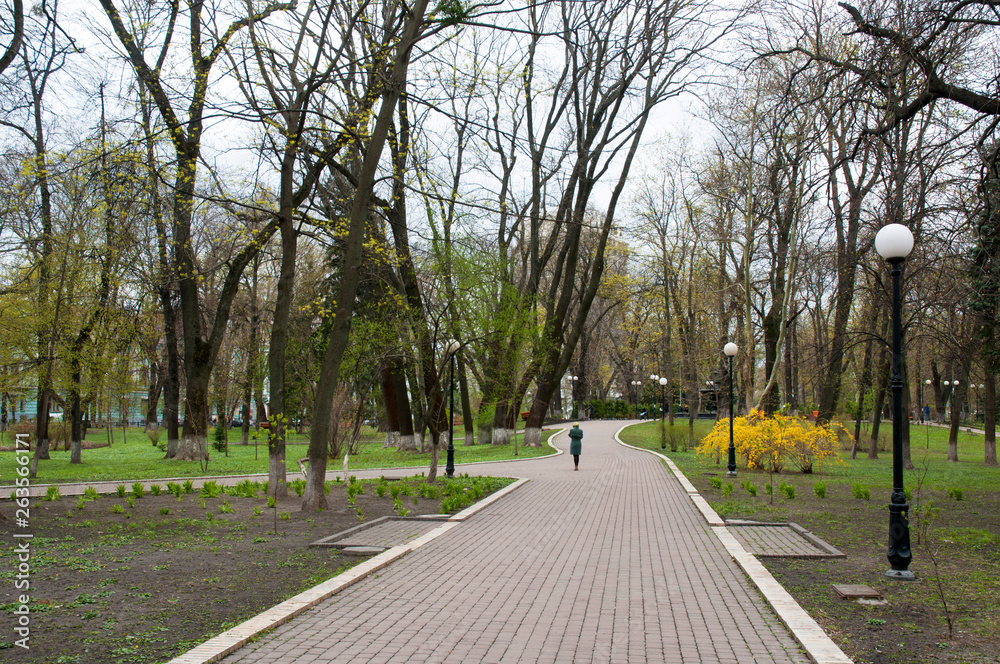 places of rest in parks and open squares in spring on a bright day with light green grass
