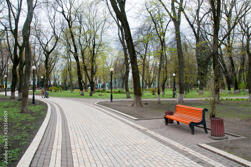 places of rest in parks and open squares in spring on a bright day with light green grass © mikhailgrytsiv