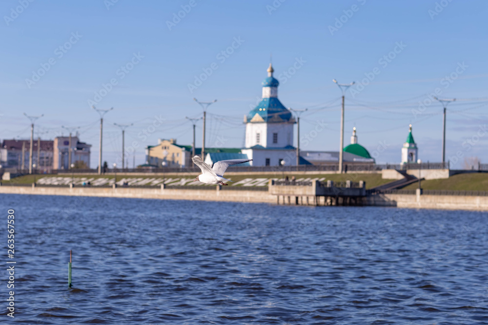 seagulls on the background of the assumption Church in Cheboksary,filmed on a Sunny spring day