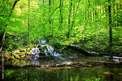 Fototapeta Naklejka Na Ścianę i Meble -  Mountain stream among the mossy stones