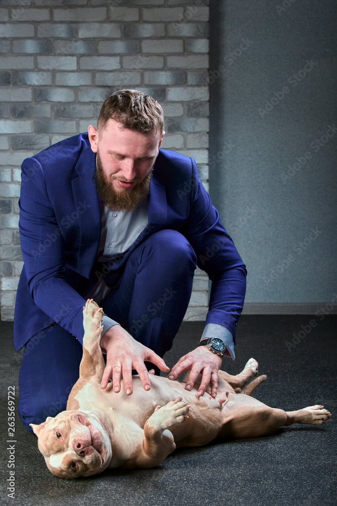 dog bulli and her owner, her loving master who holds the dog in her arms, hugs and kisses. The dog feels good on the owner's hands