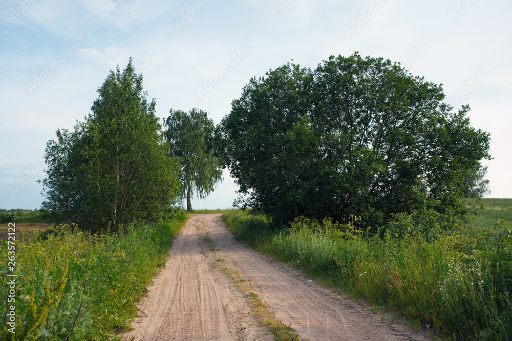 The road in the field in village The road in the field in village