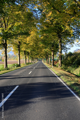 Beautiful Road in Germany, Europe