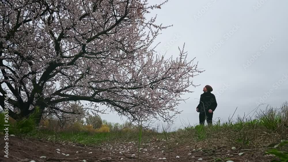 A young man in a jacket and hat walks in the spring nature. Blooming apricot tree, enjoying the walk, breathing in pleasant aromas. A young man in a jacket and hat walks in the spring nature. Blooming apricot tree, enjoying the walk, breathing in pleasant aromas.