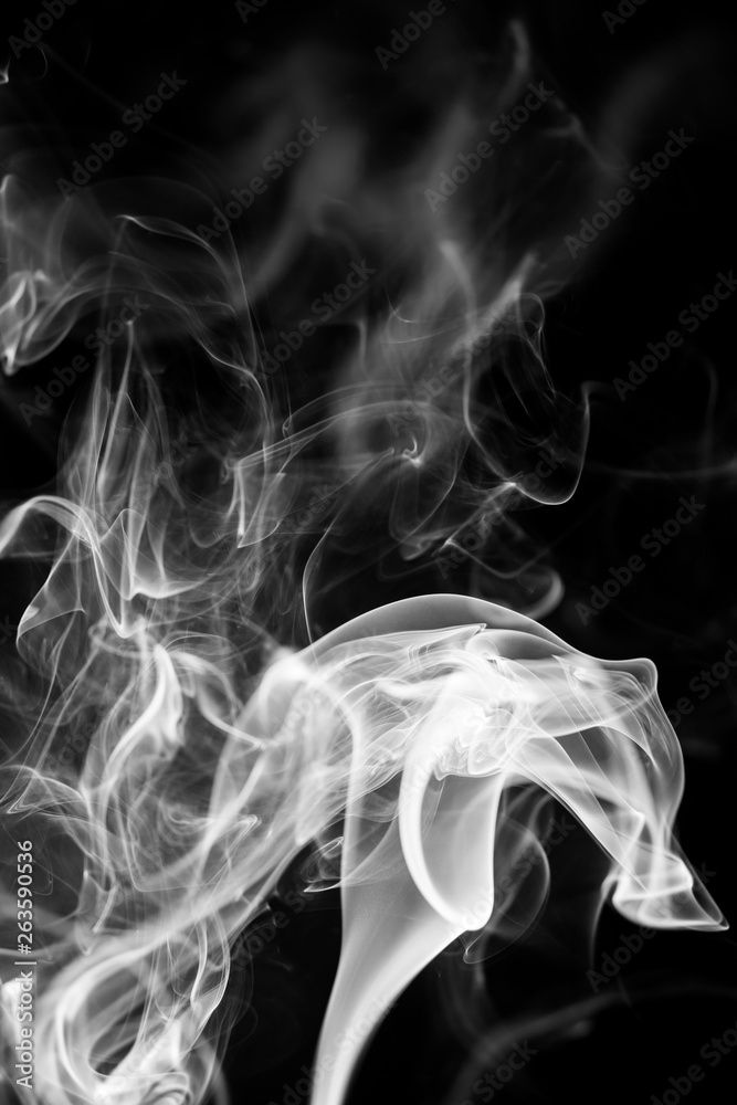 Fototapeta premium White smoke on black background.