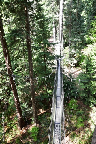 Tree hugger systems. Tree Hugger System is  a non-invasive suspension system to support walkways and flightlines.The unique “tree hugger” system allows us to suspend our platforms and cables without b photo