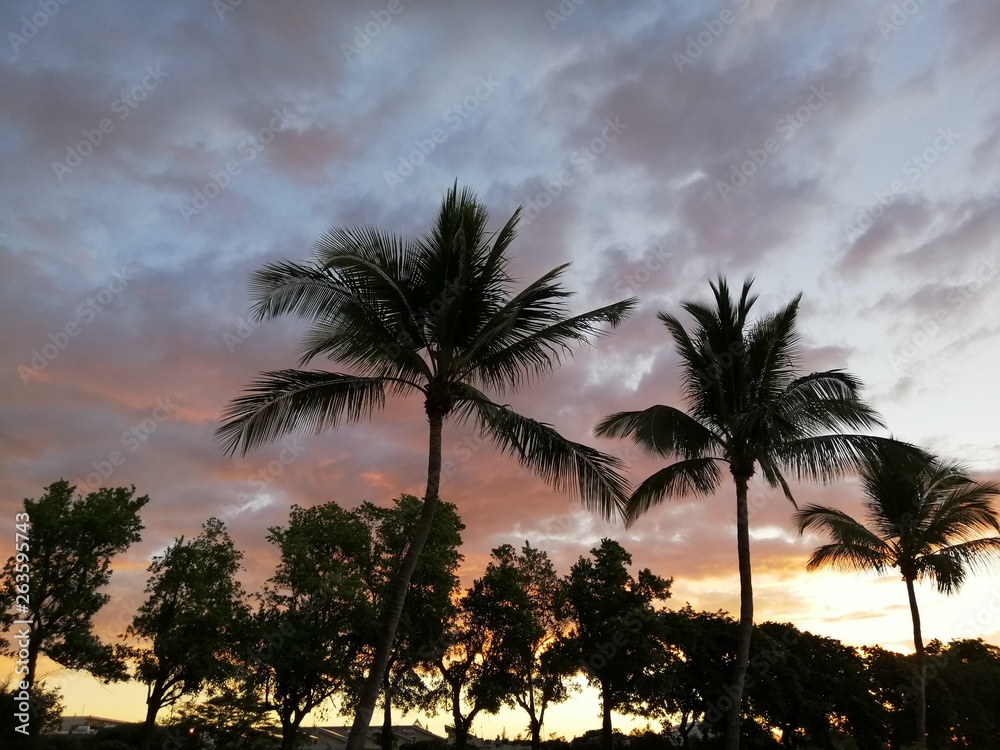 Obraz premium Le Port Île de la Réunion
