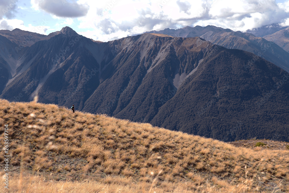 Bealey Spur, Arthur's Pass National Park, New Zealand, South Island