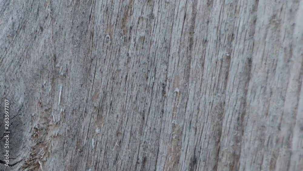 Stop motion animated wood texture background or useful for old films effects using opacity tool or luma matte, created with textures photos, loop possibility