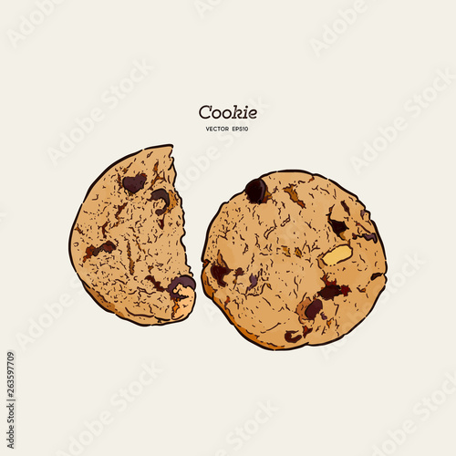 Chocolate chip cookie, hand draw sketch vector.