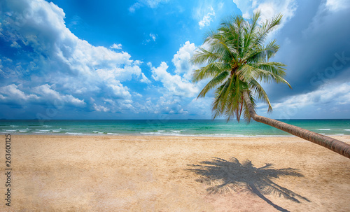 Beautiful tropical ocean and beach  Amazing tropical palm tree leaning over the ocean with blue sky Thung Wua Laen Beach  Chumphon Thailand.- Image